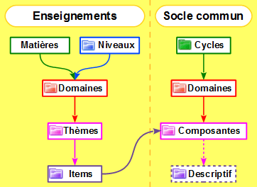 organigramme_2016_enseignements_et_socle_commun